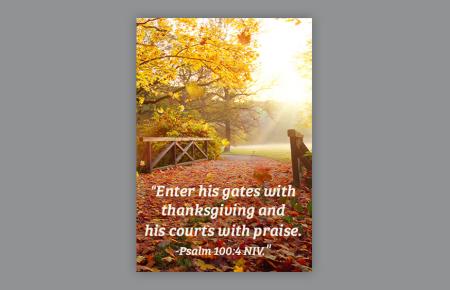 Path through the woods in fall 