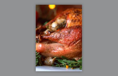 Thanksgiving Turkey 