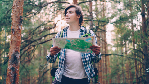 man-map-forest-hdv.png
