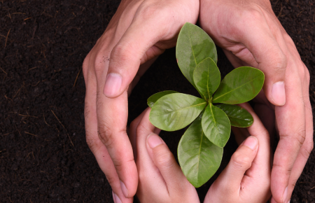 plant-adult-child-hands-1200.png